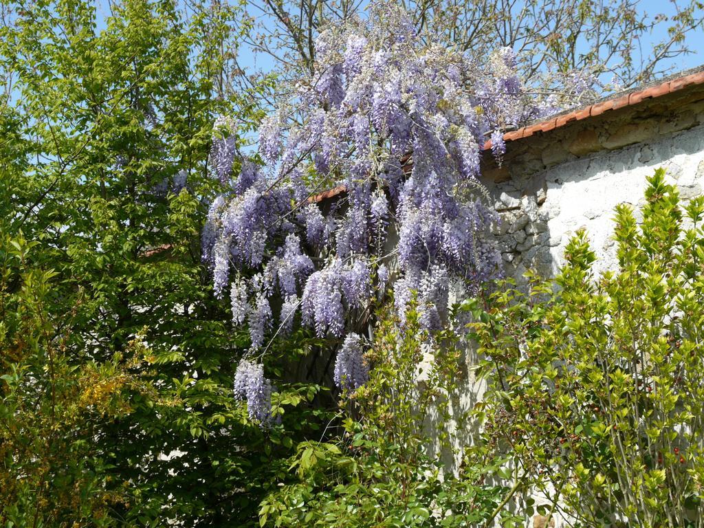 Gites De La Grande Ferme Avernes الغرفة الصورة